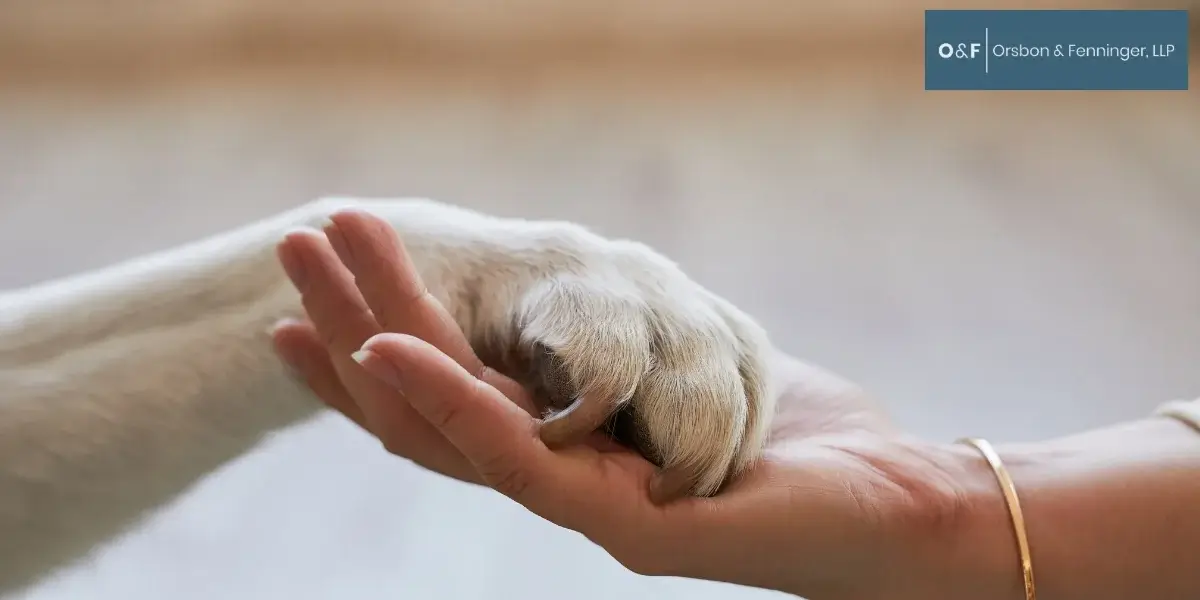 Experienced Charlotte Pet Trust Attorney